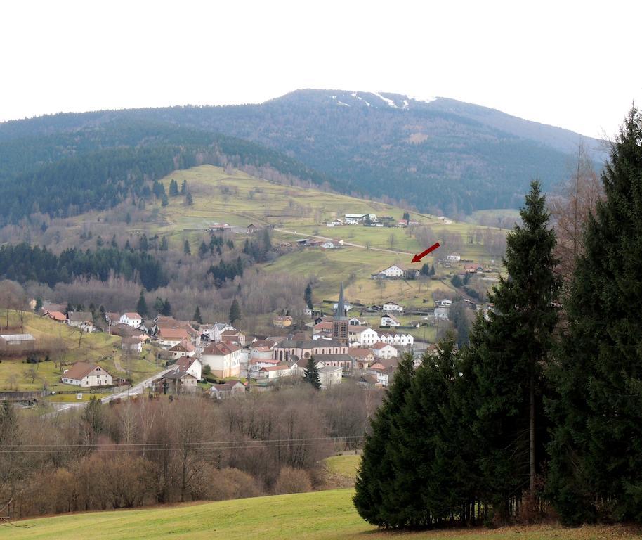 Les Hauts De Brochot Saint-Maurice-sur-Moselle Δωμάτιο φωτογραφία